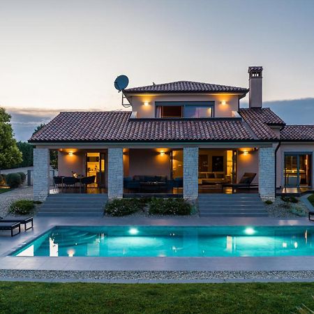 Villa Labin In Zartinj - Luxury Privacy Heated Pool With Auto Cover Экстерьер фото